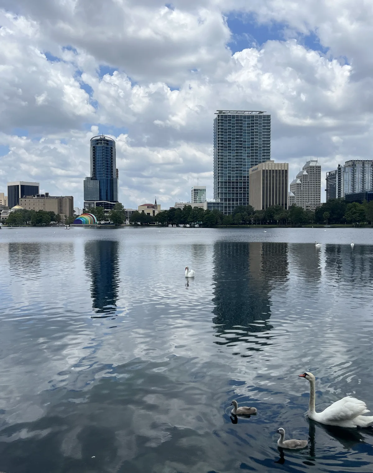 Downtown Orlando skyline reflected in Lake Eola with swans in the foreground